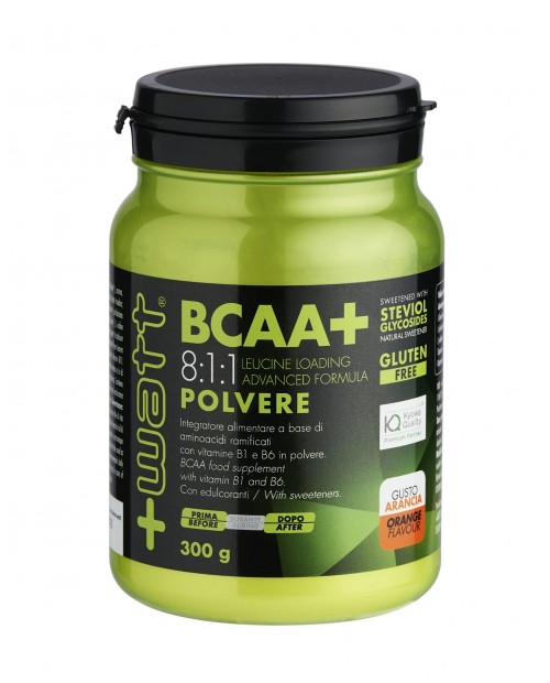 BCAA+ 8:1:1 Polvere 300 grammi - +Watt