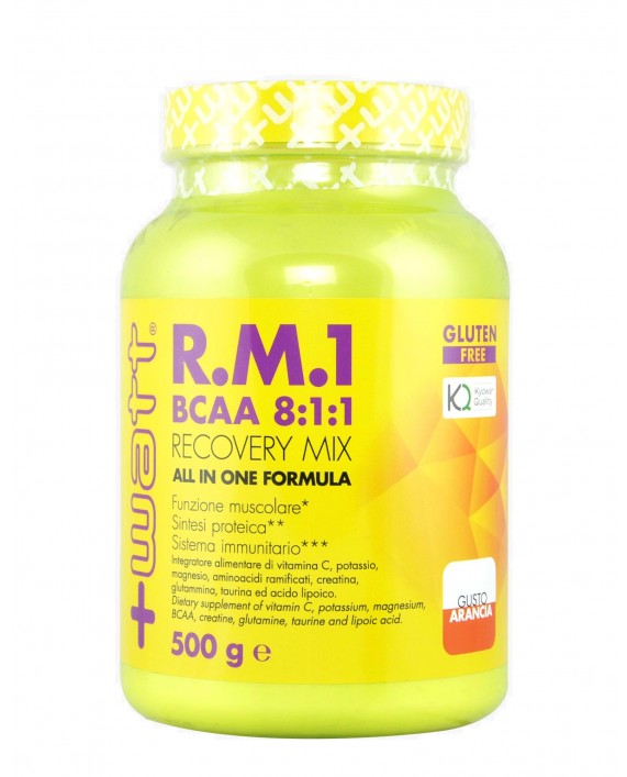 RM1 New Formula (BCAA 8:1:1) 500 grammi - +Watt