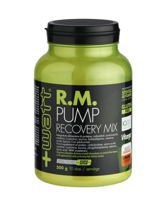 R.M. Pump Recovery Mix 500 g - +Watt